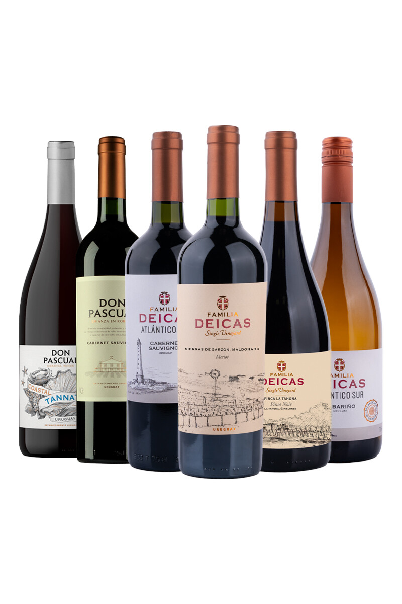 Pack Bacán Selección Bacanazo Fin de Año x6 vinos uruguayos 