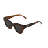 Mr Boho Havnen col BJT1-11 Cheetah Tortoise Mr Boho Havnen Col Bjt1-11 Cheetah Tortoise