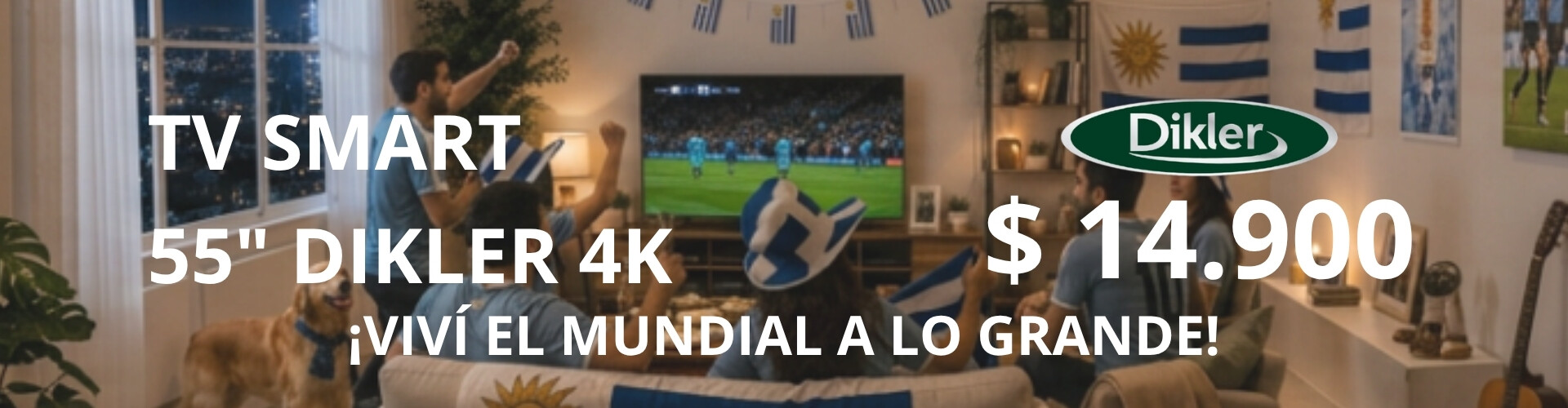 TV DIKLER 55 SMART
