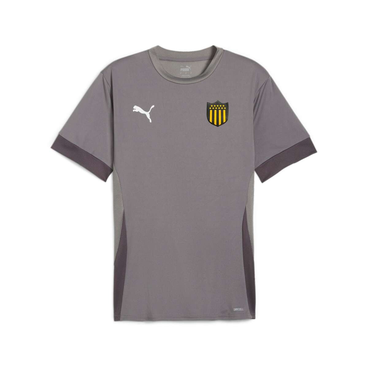 Remera Teamgoal Matchday Camiseta de Hombre - Gris 