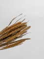 Deco Floral Ramo Setaria Natural Color Unico