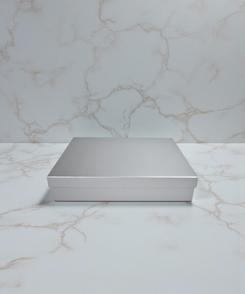 Caja Rigida 21,5 x 31,5 x 5,5 PLATA