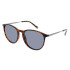 INVU B2102G Dark Demi/Gun Polarized Invu B2102g Dark Demi/gun Polarized