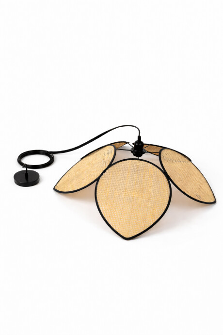 Lampra De Techo Laredo Color Unico