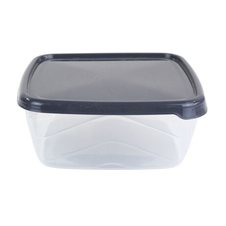 Recipiente de plastico con tapa Recipiente de plastico con tapa