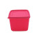 RECIPIENTE PARA FREEZER ALASKA FRESHLIFE 1,0L SURTIDO RECIPIENTE PARA FREEZER ALASKA FRESHLIFE 1,0L SURTIDO