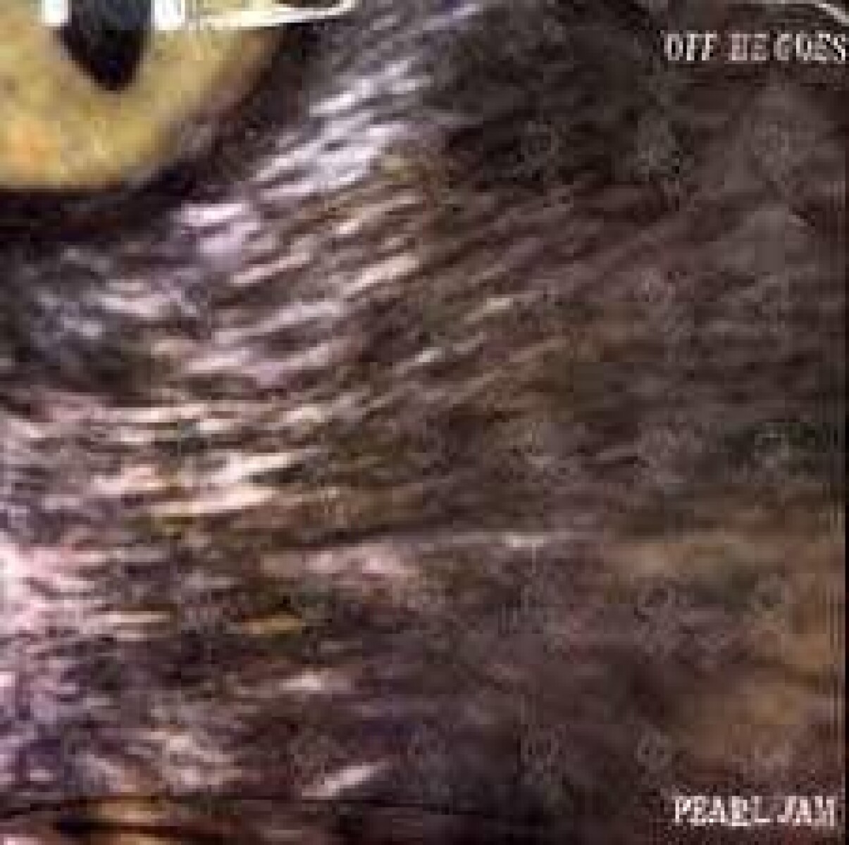 (l) Pearl Jam-""""""""off He Goes"""""""" B/w """"""""dead Man""""""""- 7 Inch Vin - Vinilo 