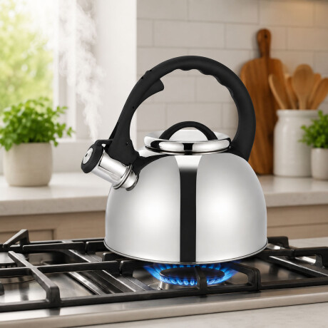 Caldera Pava Silbadora 2.5Lt en Acero Inox Cuori Caldaia Plateado