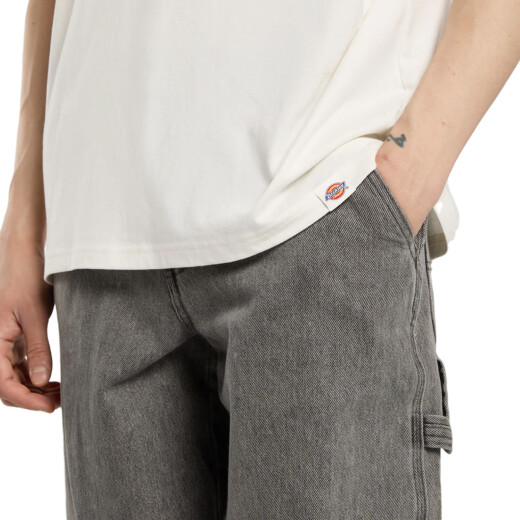 Remera Dickies Burns - Multicolor Remera Dickies Burns - Multicolor