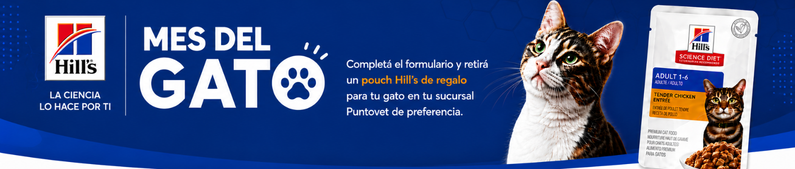 HILLS AGOSTO