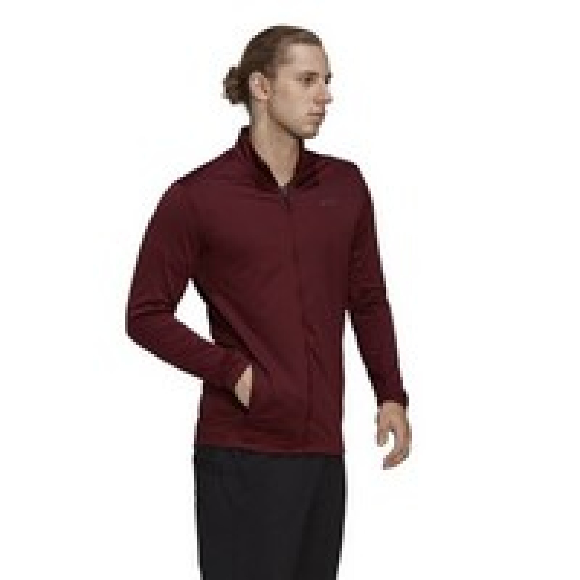 Campera adidas online terrex