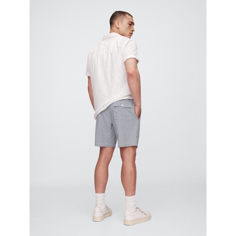 V-6IN SWIM TRUNK BLUE STRIPE