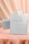 Pack x 200 - bolsa 26x16x30 cm. BLANCO