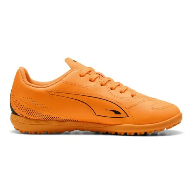 Calzado Puma 108504/03 Calzado Puma 108504/03