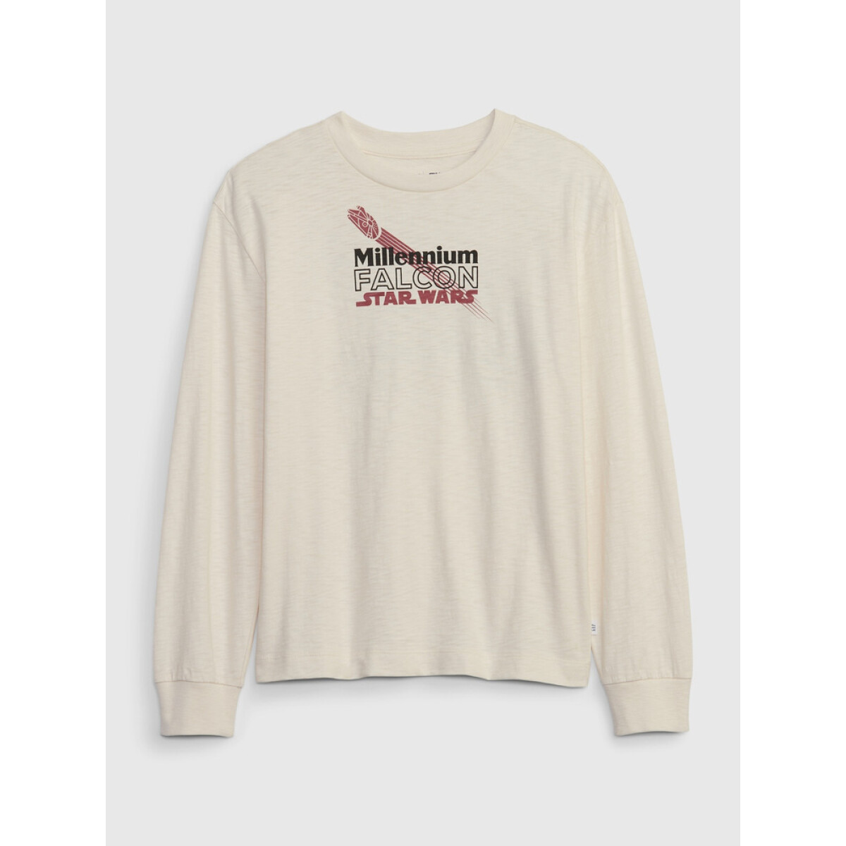 SW JPN LS GR TEE - IVORY FROST 