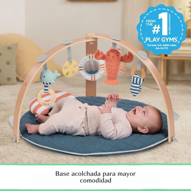 Gimnasio de Actividades para Bebé Reversible Bright Starts Gimnasio de Actividades para Bebé Reversible Bright Starts