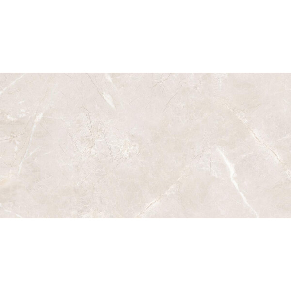 PORCELANATO WIEN ESM POL "C" 60X120 CM Porcelanato Wien Esm Pol "c" 60x120 Cm