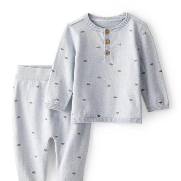 Set 2pz hilo algodon gris dinos carters Set 2pz hilo algodon gris dinos carters