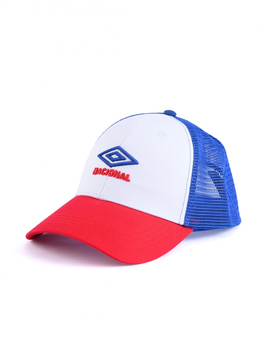 GORRO DECANO Nacional Oficial - 964 