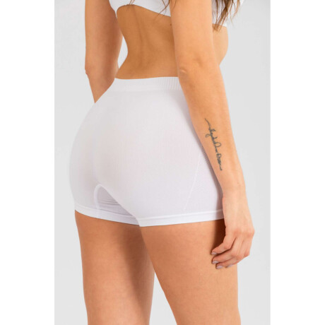 Boxer chicory Blanco