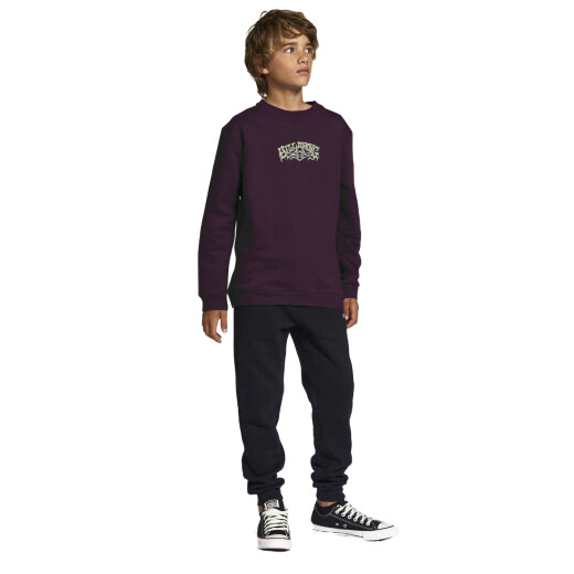 Buzo Billabong Alternative Crew Niño - Violeta Buzo Billabong Alternative Crew Niño - Violeta