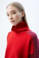 Polera Fuji Rojo