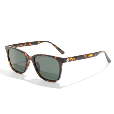 Lentes Sunski Ventana Tortoise Forest