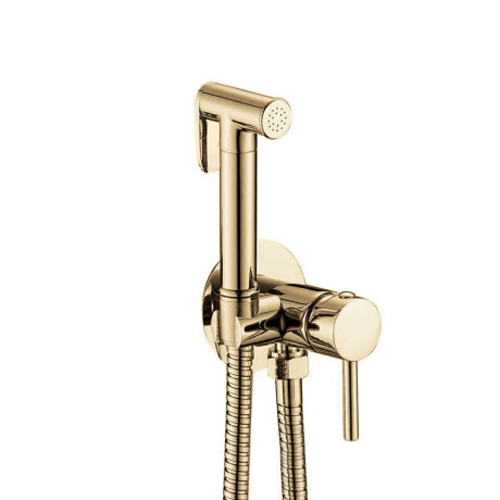 Griferia Ducha Higienica Embutir En Oro Cepillado - Signature 000