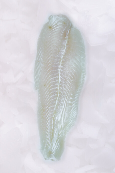 Filete de Pangasius 1Kg