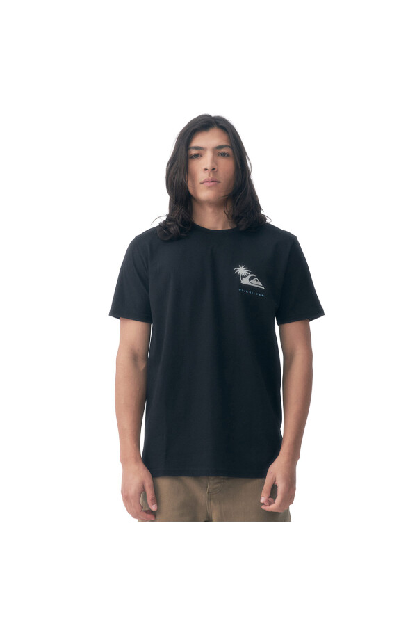 Quiksilver Remera PALM ISLAND Hombre - Negro Negro
