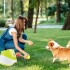 Lanzador Pelota Perro Automatico Juguete Interactivo Animal Lanzador Pelota Perro Automatico Juguete Interactivo Animal