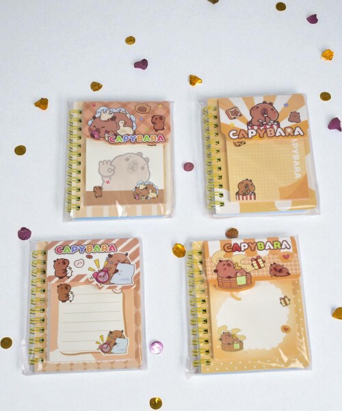 Libretas - block de notas - surtido fantasia Libretas - block de notas - surtido fantasia