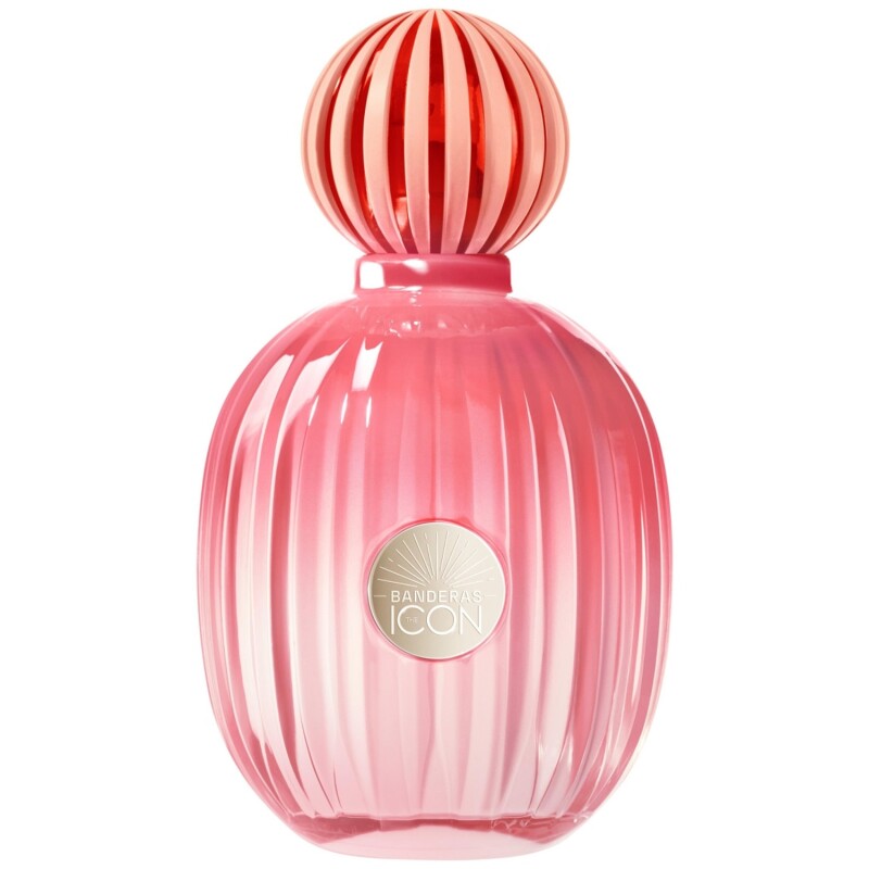 Perfume Antonio Banderas The Icon Splendid EDP 100ml Perfume Antonio Banderas The Icon Splendid EDP 100ml