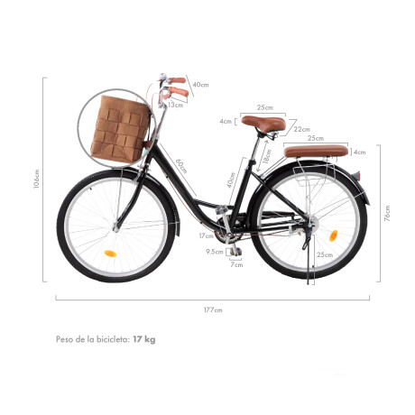 Bicicleta Urbana Rodado 26 con Canasto Vintage Negro
