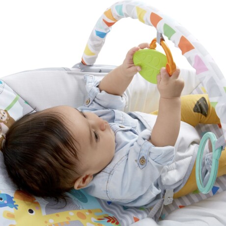 Bouncer Safari Fun Bright Starts con vibración Bouncer Safari Fun Bright Starts con vibración