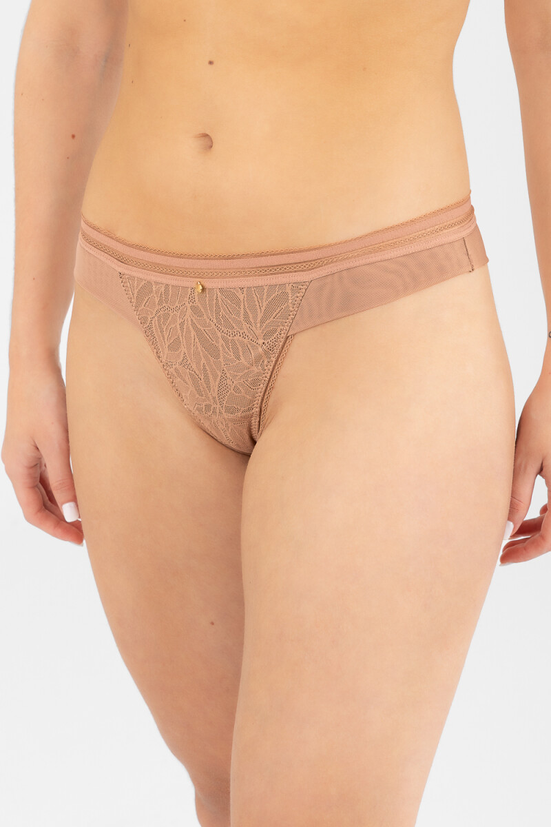 Colaless helecho Antique rose