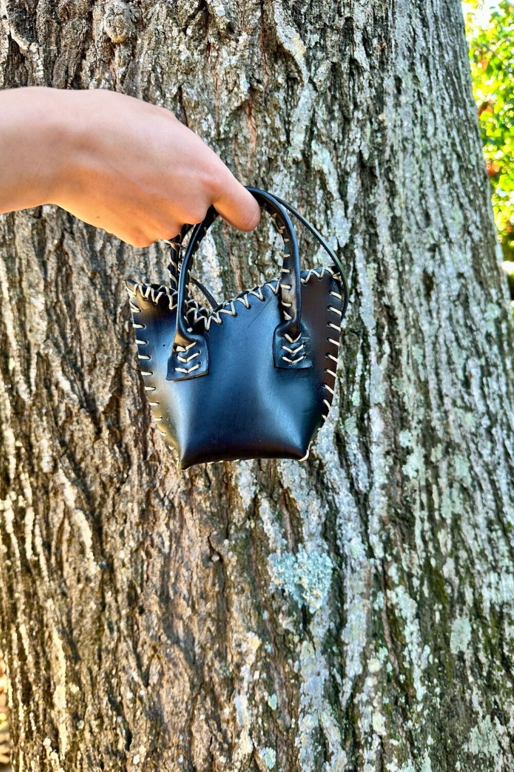 Dolly Carry Bag Negro