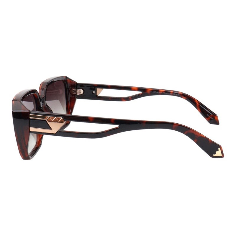 Lentes de Sol Chilli Beans Austral Animal Print