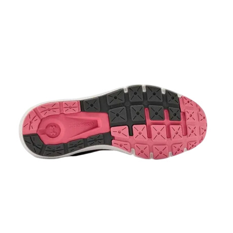 Championes Under Armour Charged Rogue 2 Grey/Pink