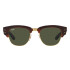 RB 0316/50 col 99031 Rb 0316/50 Col 99031
