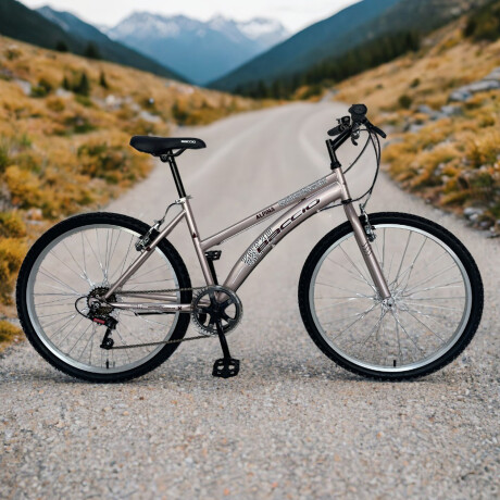 Bicicleta Baccio Alpina Lady Montaña rodado 26 con 6 cambios ROSA