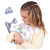 Perro Cachorro Baby Paws Husky siberiano