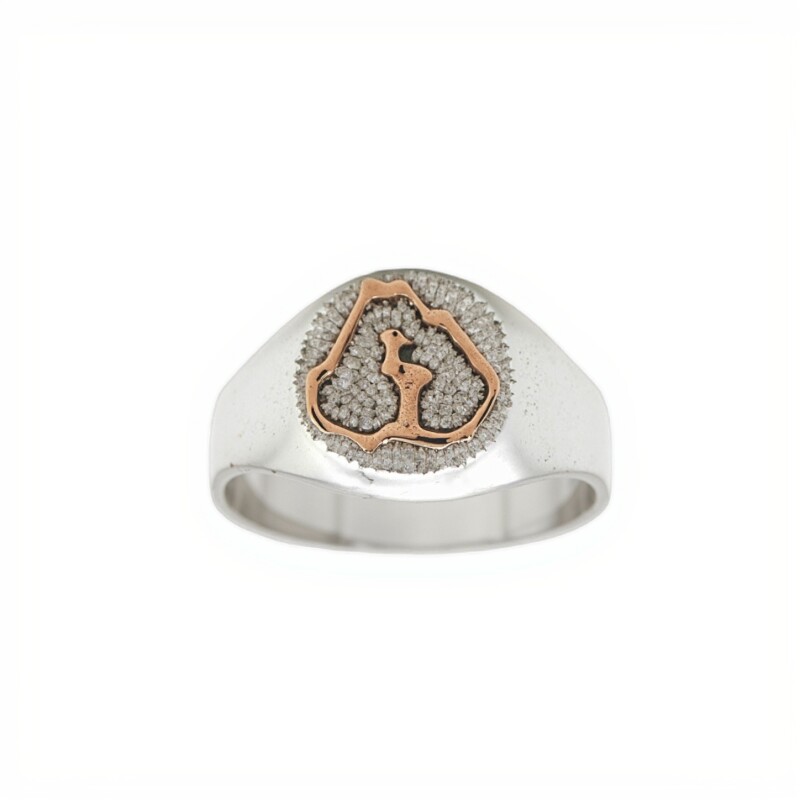 Anillo Profesión Ingeniero agrónomo-Plata y Oro-Sin Piedra-AP5009 sinpiedra