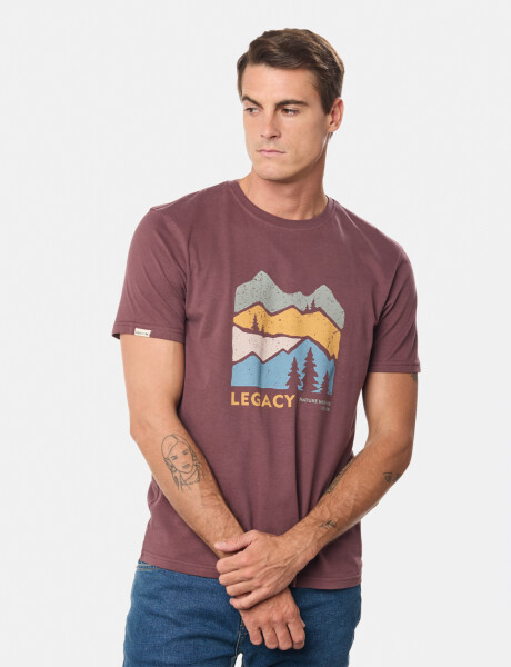 REMERA ESTAMPADA Bordo