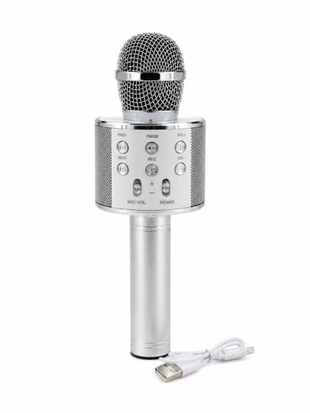 MICROFONO USB PLATEADO