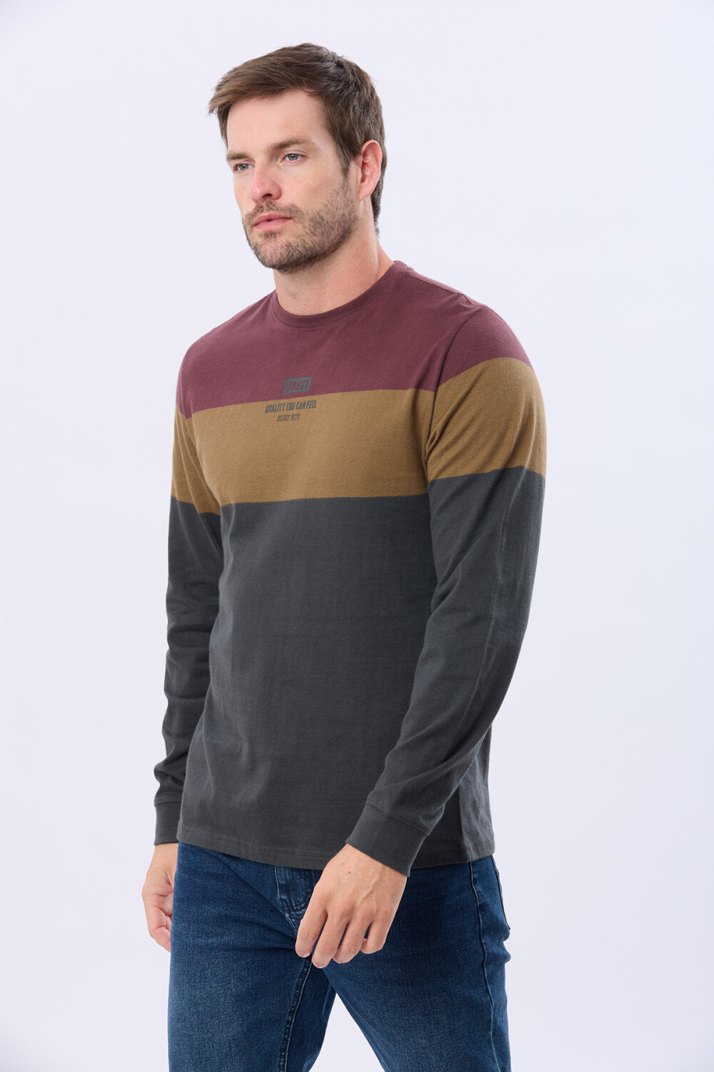 REMERA RAYADA CON ESTAMPA Gris