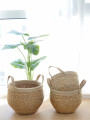Cesta Cobra Color Unico