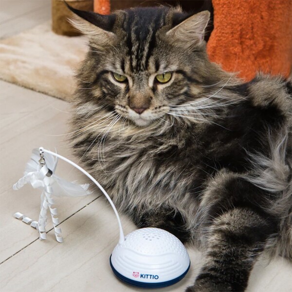 Juguete Interactivo Gatos Kittio Movimientos Sonidos Pluma Juguete Interactivo Gatos Kittio Movimientos Sonidos Pluma