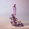 Perfume Adolfo Dominguez Iris Vainilla Mujer Edp 120 Ml Perfume Adolfo Dominguez Iris Vainilla Mujer Edp 120 Ml