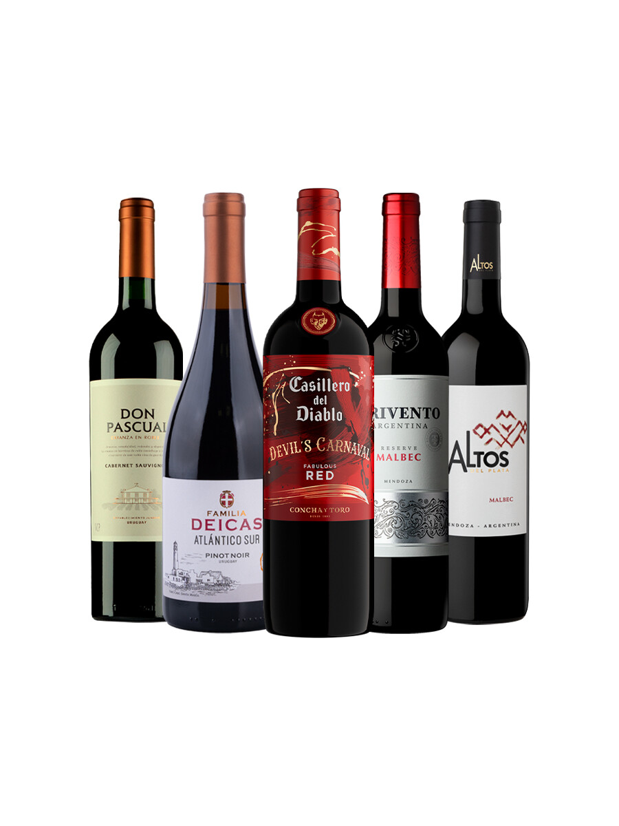 Pack Bacán Selección Mundialista x5 vinos Tiempo Extra Pack Bacán Selección Mundialista x5 vinos Tiempo Extra